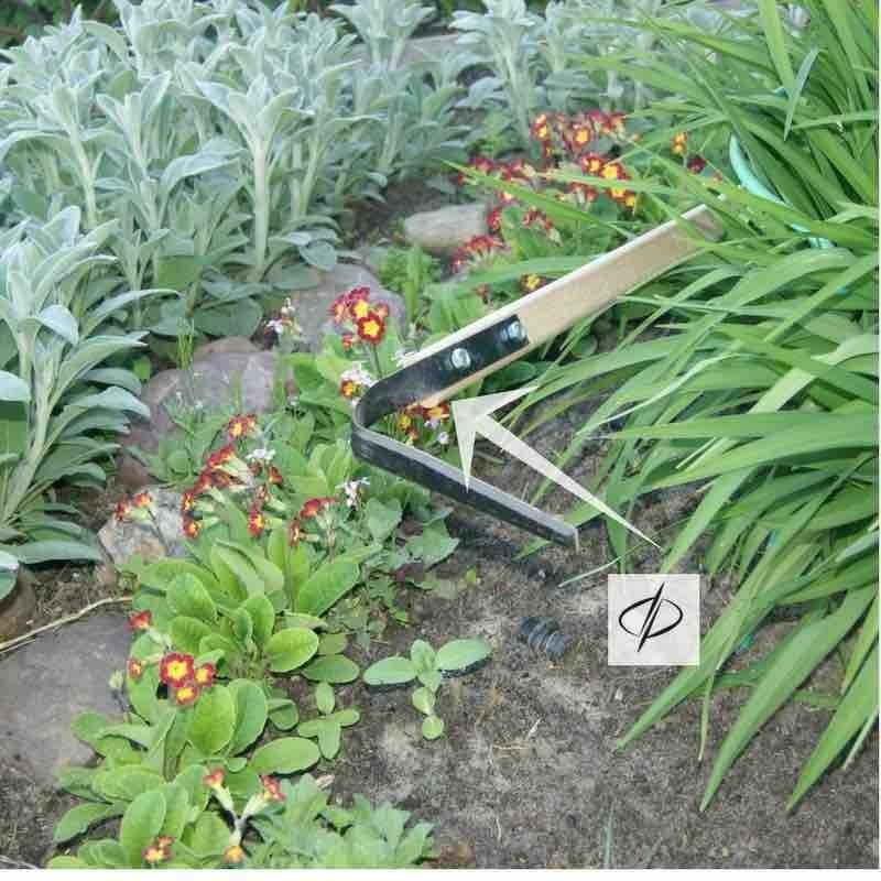 Fokino plokščiapjovė "Krepiš" + kotas