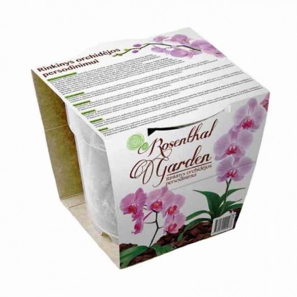 Rinkinys orchidėjų persodinimui