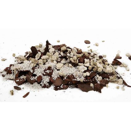 Stambus-substratas-orchidėjoms-akcija-nuolaidos