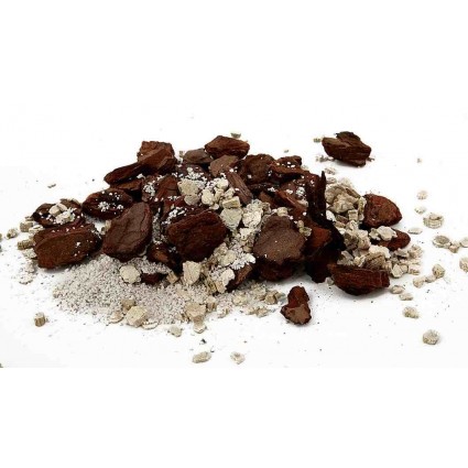 Rinkinys orchidėjų persodinimui