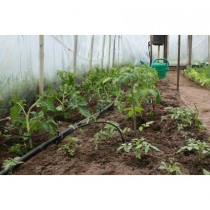 Lašelinis laistymas DVIKOJIS gravitacinis