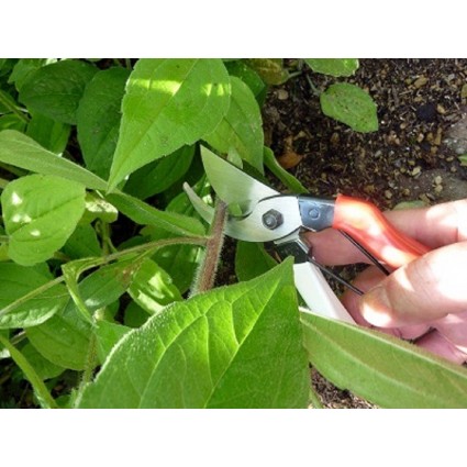 Sekatorius-sodo-žirklės-Okatsune-101