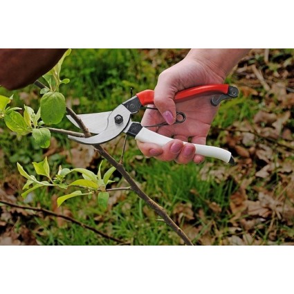 Sekatorius-Okatsune-103-sodo-žirklės