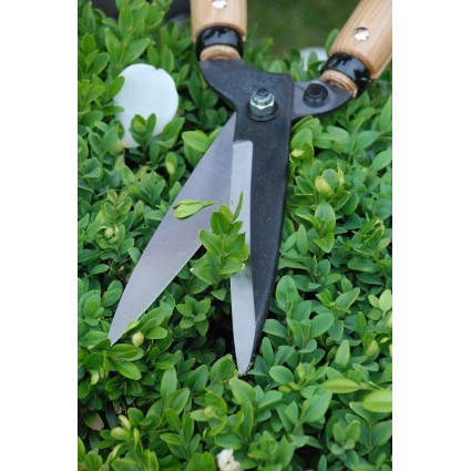 Gyvatvorių-žirklės-Okatsune-217-sodo-įrankis