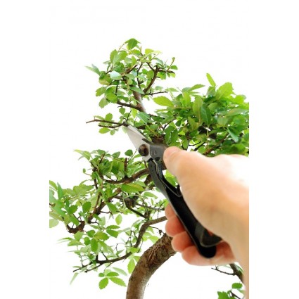 Bonsai-žirklės-Okatsune-207-sodo-įrankiai