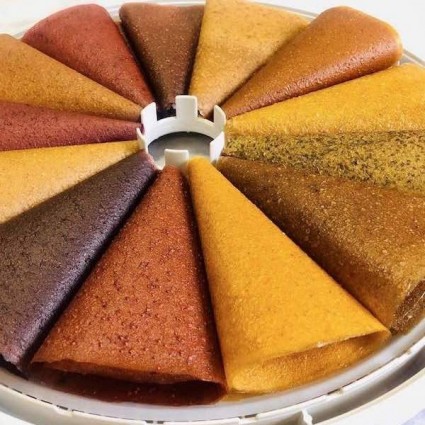 vaisiu-dziovykle-ezidri-fd1000-digital