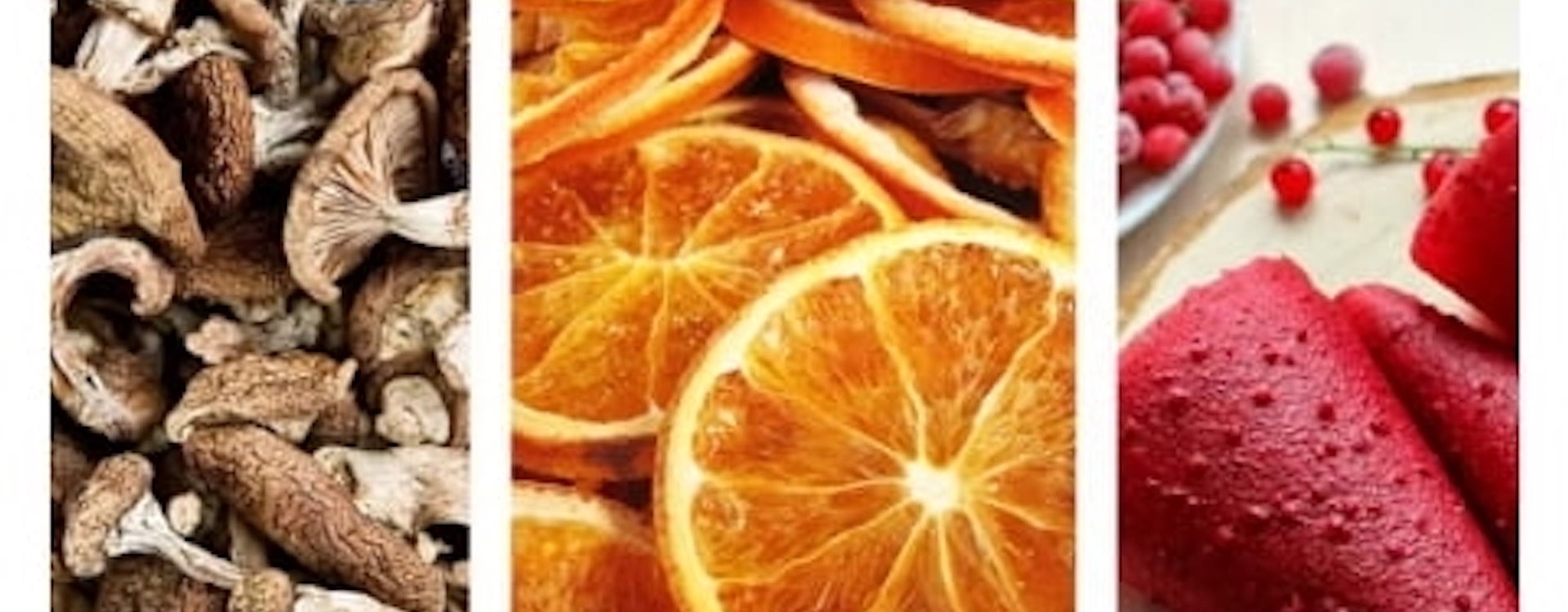 Įvairių produktų džiovinimas su Ezidri