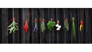 Džiovinimo receptai