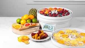 Maisto džiovyklės Ezidri paslaptis