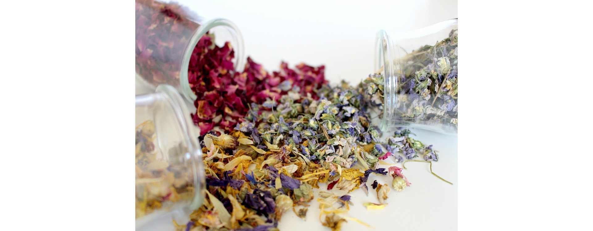 Kaip teisingai rinkti žoleles ir kitus augalus?