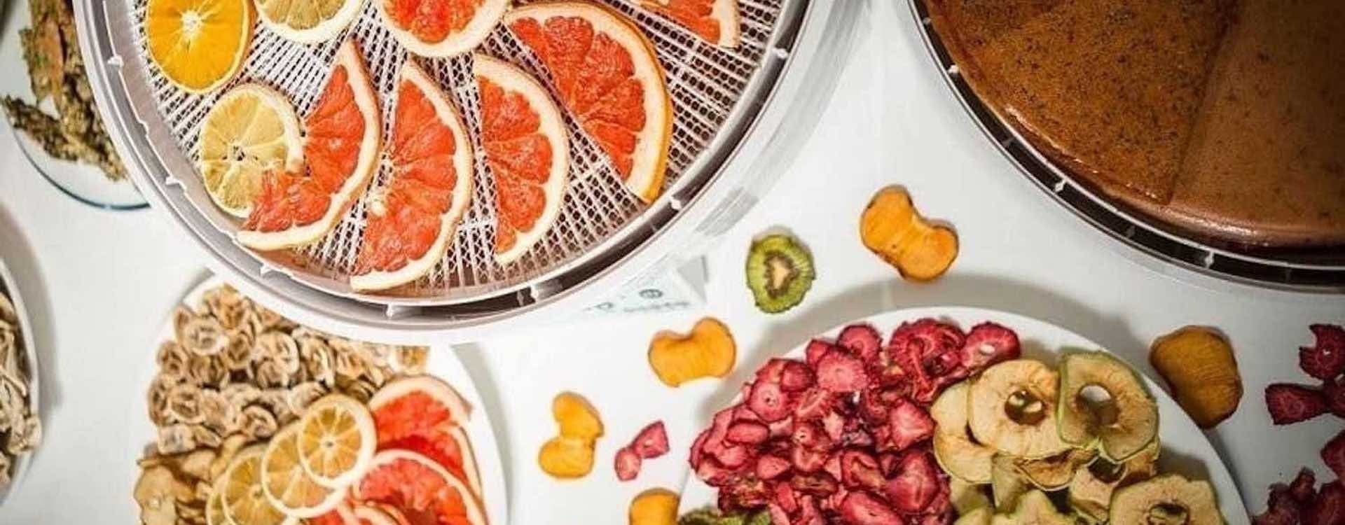 Ezidri Maisto Džiovyklė – Patikimumas ir Efektyvumas Jūsų Virtuvėje