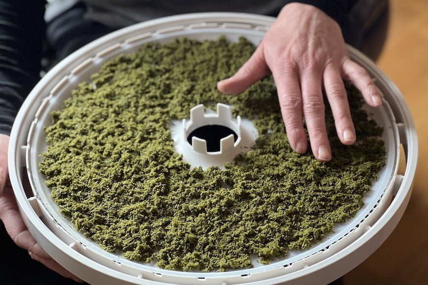 Fermentuotos pušų spyglių arbatos receptas