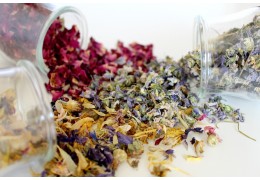 Kaip teisingai rinkti žoleles ir kitus augalus?