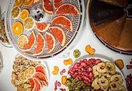 Ezidri Maisto Džiovyklė – Patikimumas ir Efektyvumas Jūsų Virtuvėje