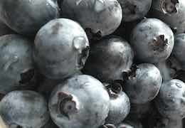 Šilauogių ir Bananų Pastilės naudojant Vaisių Džiovyklę