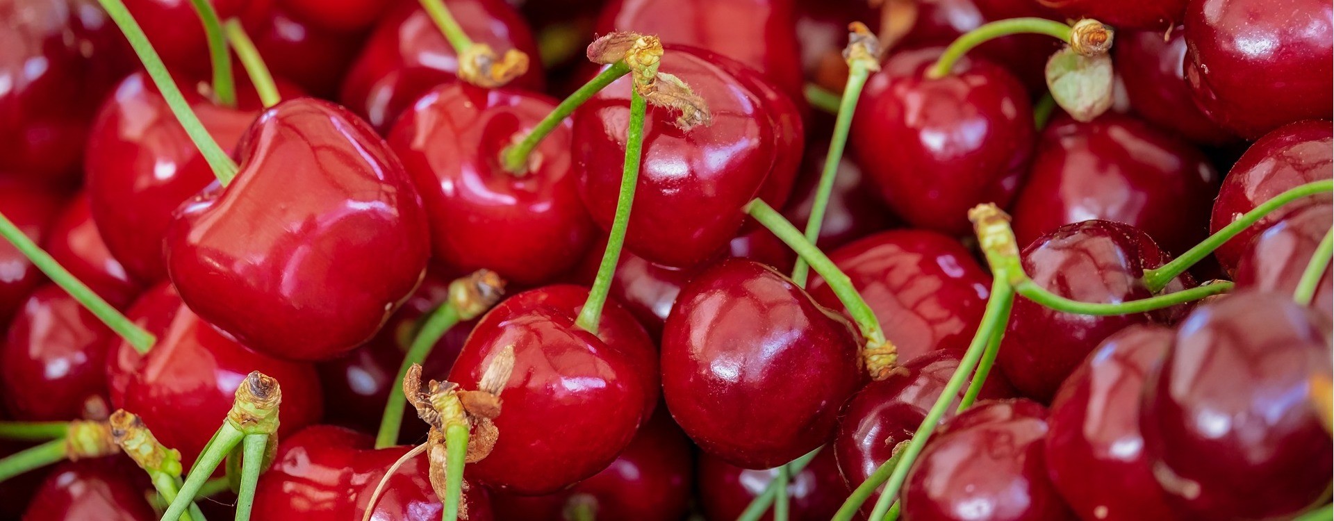 Pikantiškos džiovintos vyšnios ir trešnės