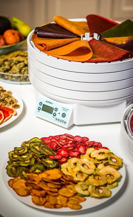 Ezidri džiovyklės ir priedai